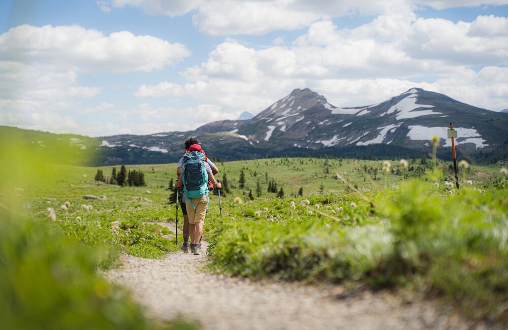Two people hiking in Sunshine Meadows on a blue day with green grass around them and mountains in the distance. 